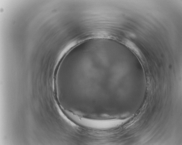 X0000066511095200603241300