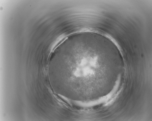 X0000066511097200603241300