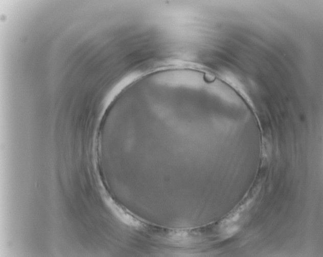 X0000066511098200603241300