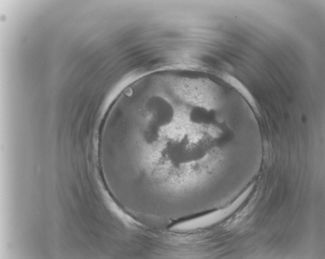 X0000066511099200603241300