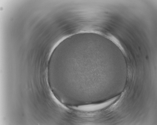 X0000066511100200603241300