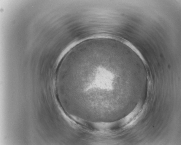 X0000066511101200603241300