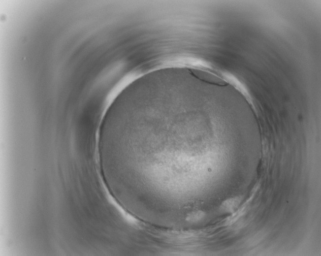 X0000066511103200603241300