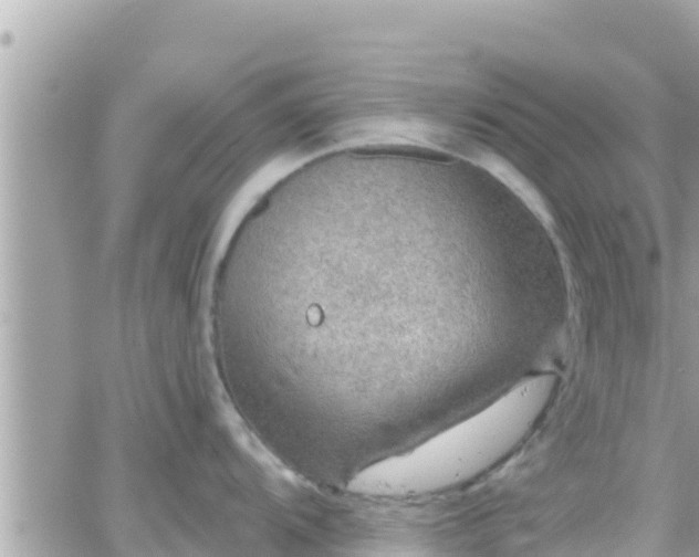 X0000066511104200603241300