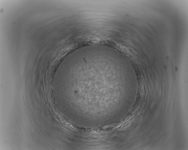 X0000066511105200603241259