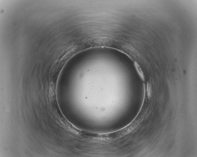 X0000066511107200603241259