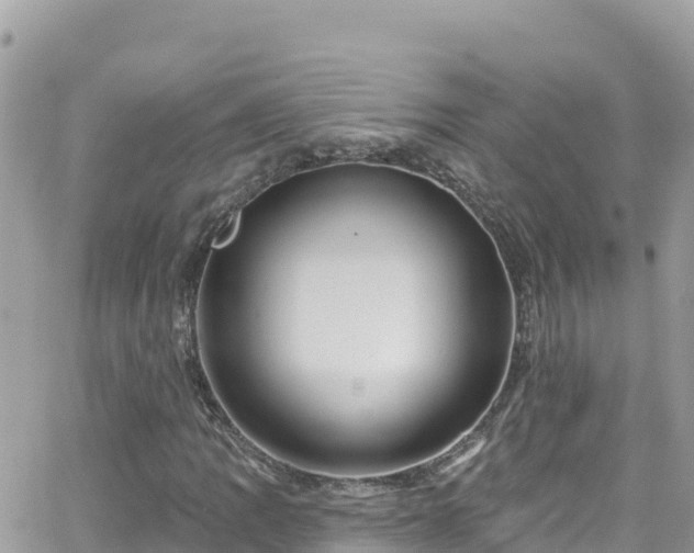 X0000066511109200603241259