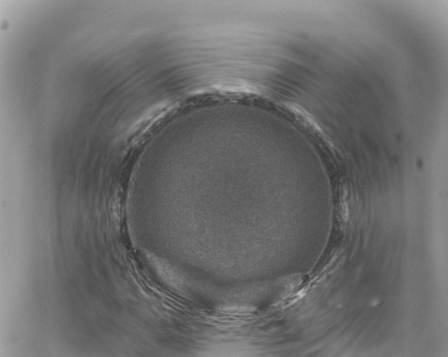 X0000066511110200603241259