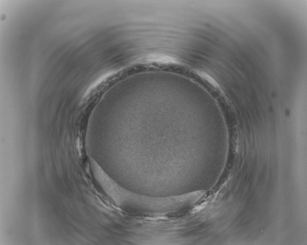 X0000066511112200603241259