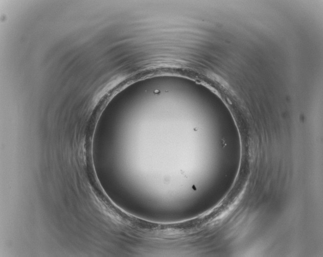 X0000066511113200603241259