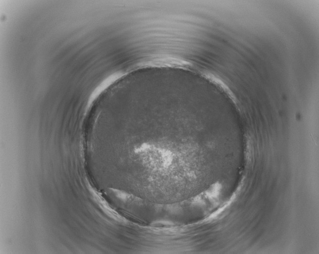 X0000066511114200603241259