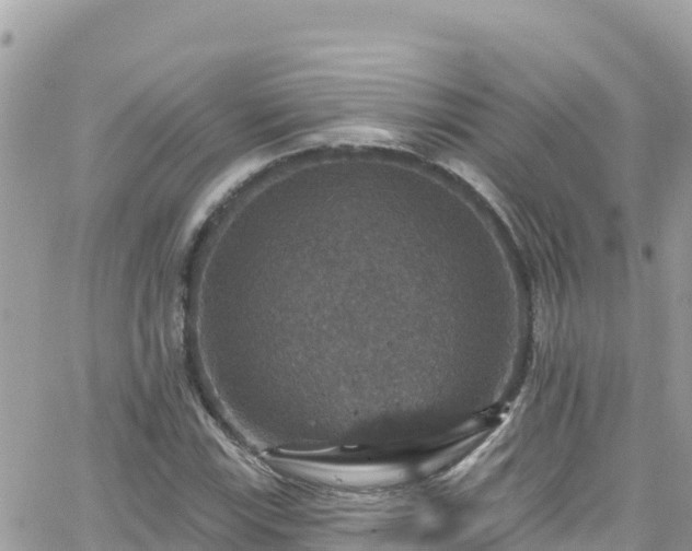 X0000066511115200603241259