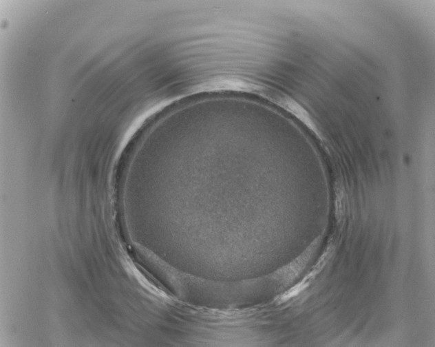 X0000066511116200603241259