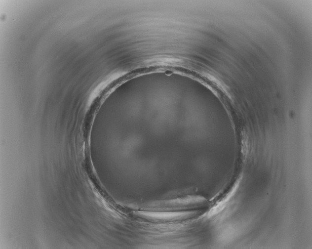 X0000066511117200603241300