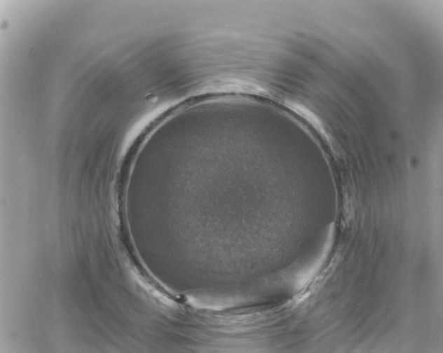 X0000066511120200603241300