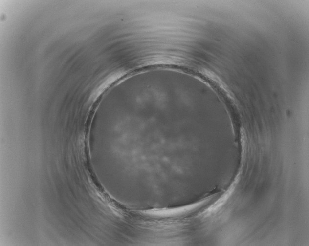 X0000066511121200603241300