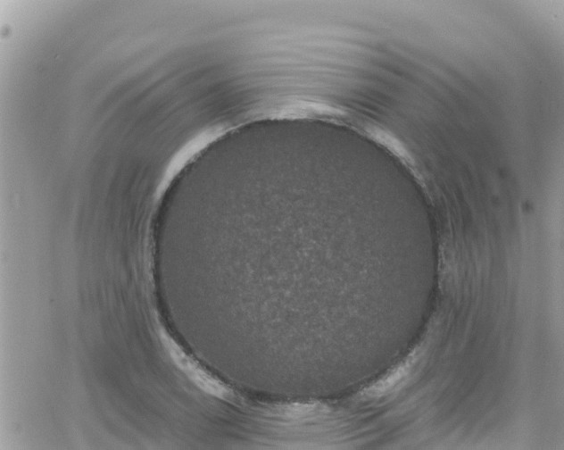 X0000066511122200603241300