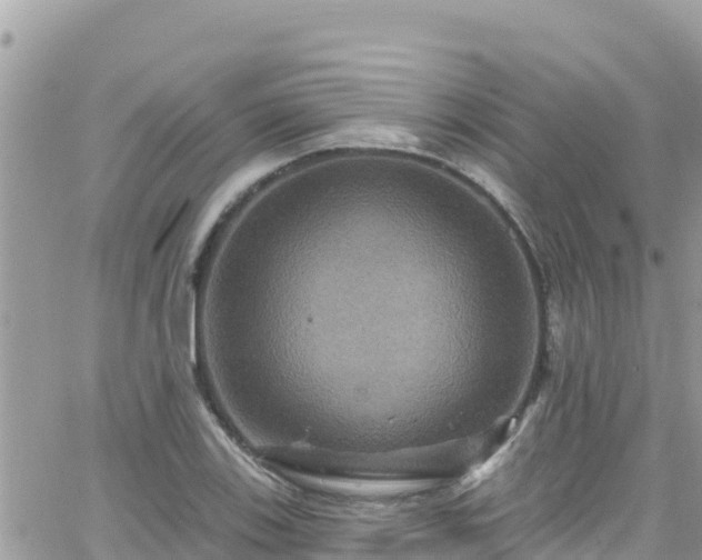 X0000066511123200603241300