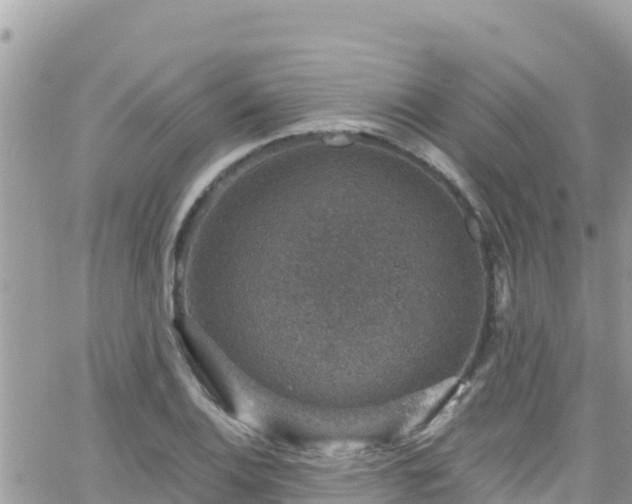 X0000066511124200603241300