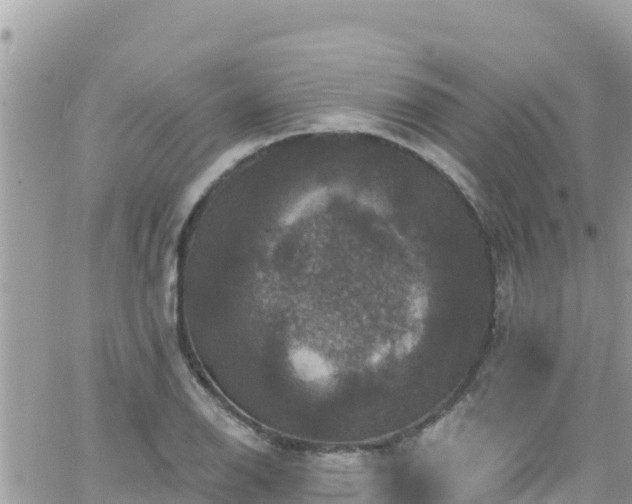 X0000066511126200603241300