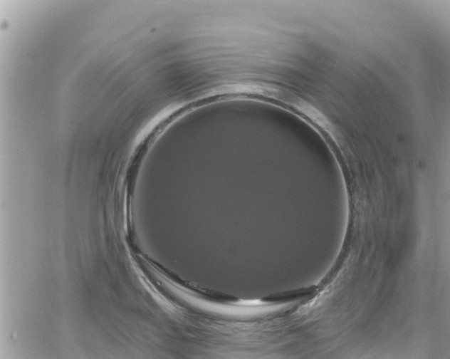 X0000066511127200603241300