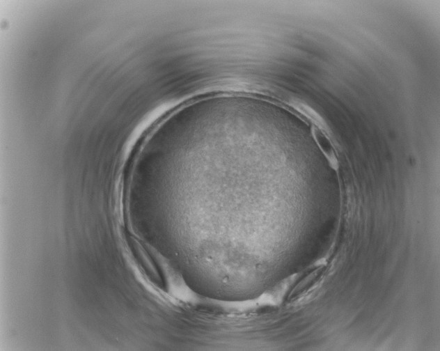 X0000066511128200603241300