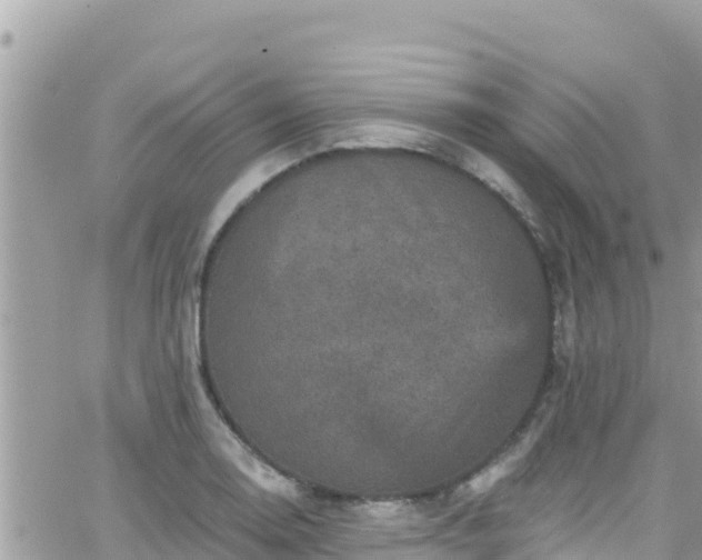 X0000066511130200603241300