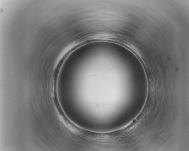 X0000066511131200603241300