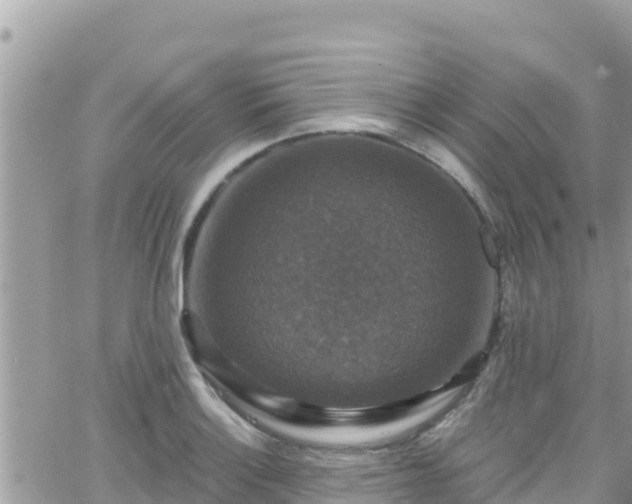 X0000066511132200603241300