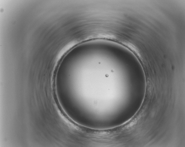 X0000066511135200603241300