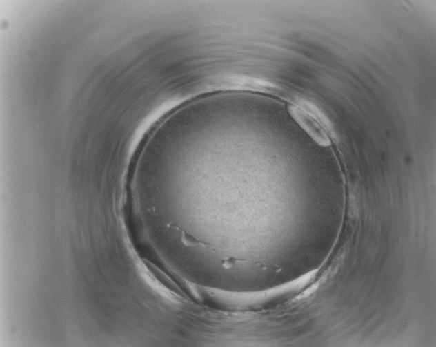 X0000066511136200603241300