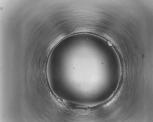 X0000066511137200603241300