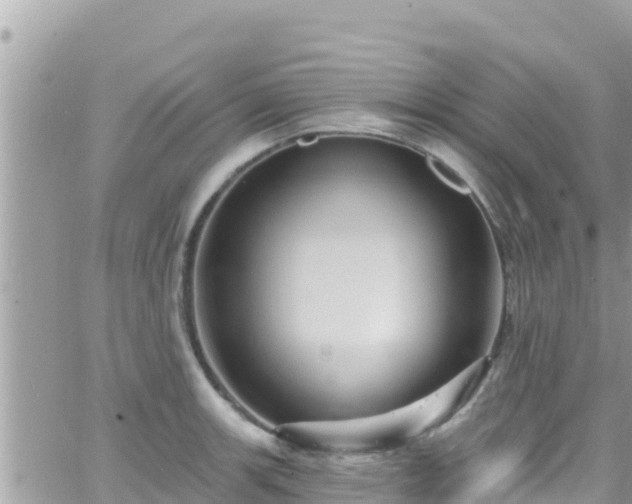 X0000066511139200603241300