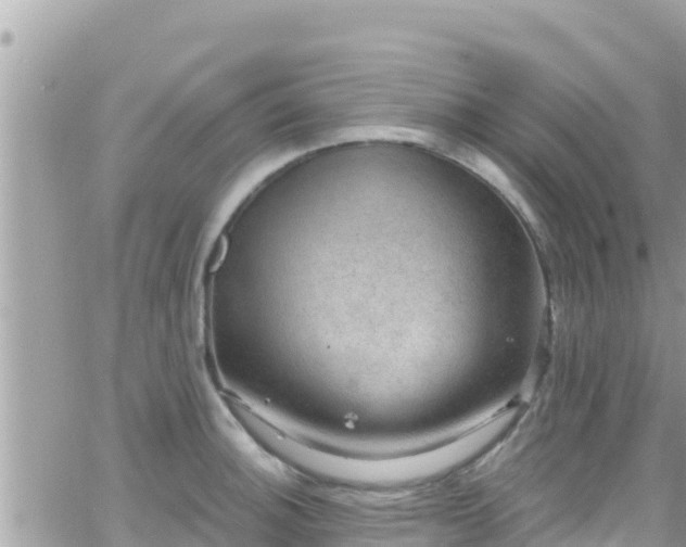 X0000066511140200603241300