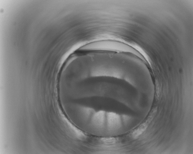 X0000066511142200603241300