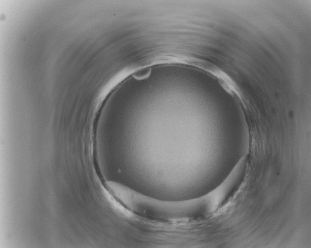 X0000066511143200603241300