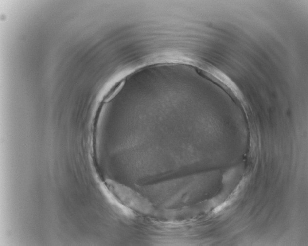 X0000066511144200603241300