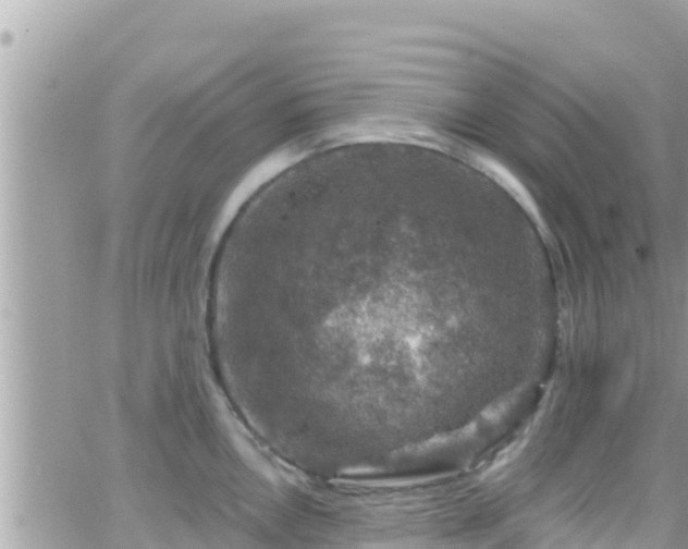 X0000066511146200603241300