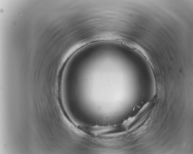 X0000066511147200603241300