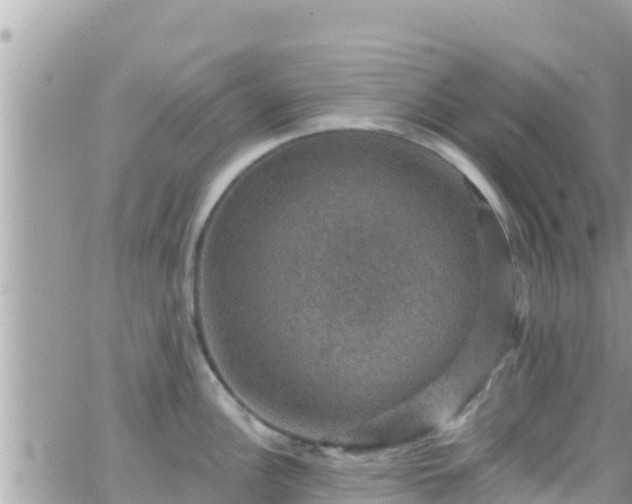 X0000066511148200603241300