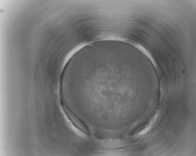 X0000066511149200603241300