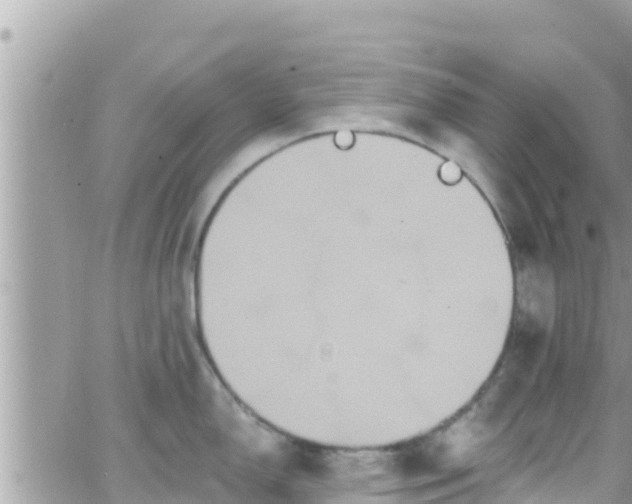 X0000066511150200603241300