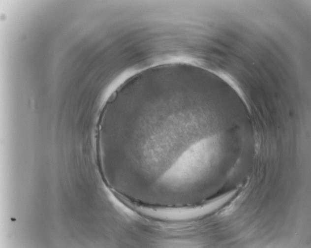 X0000066511151200603241300