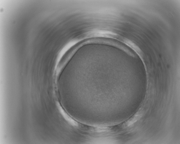 X0000066511152200603241300