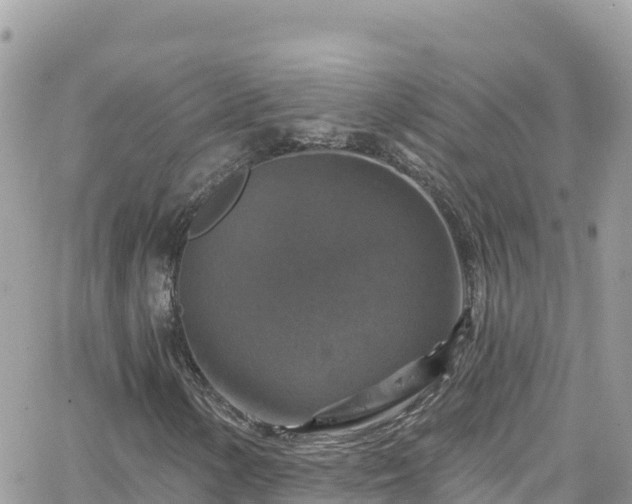 X0000066511154200603241259