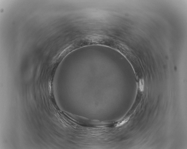 X0000066511155200603241259