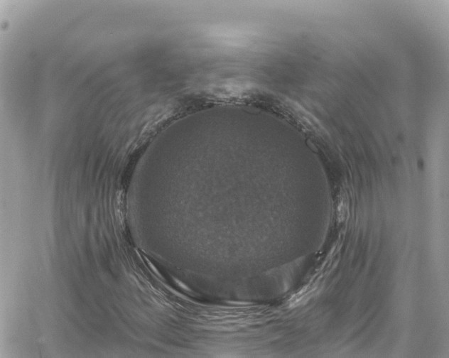 X0000066511156200603241259