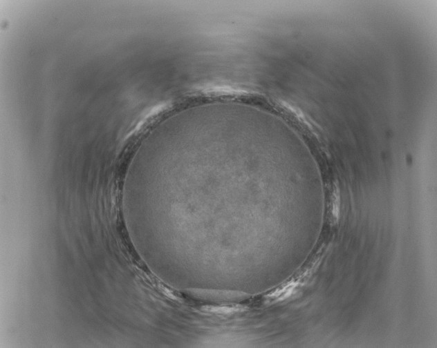 X0000066511157200603241259