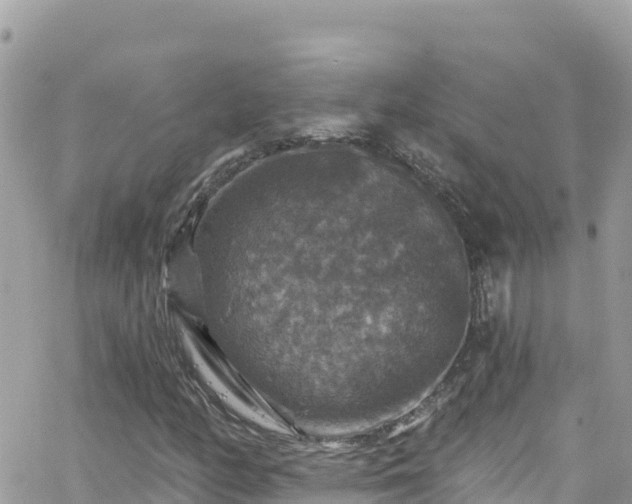 X0000066511158200603241259