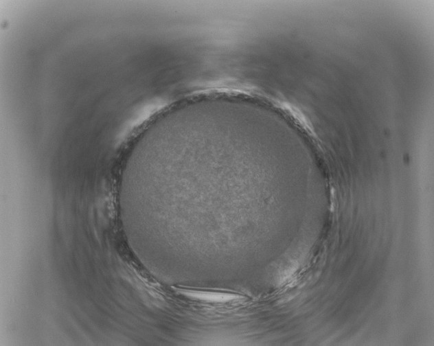 X0000066511159200603241259